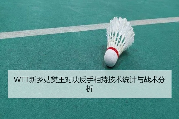 WTT新乡站樊王对决反手相持技术统计与战术分析