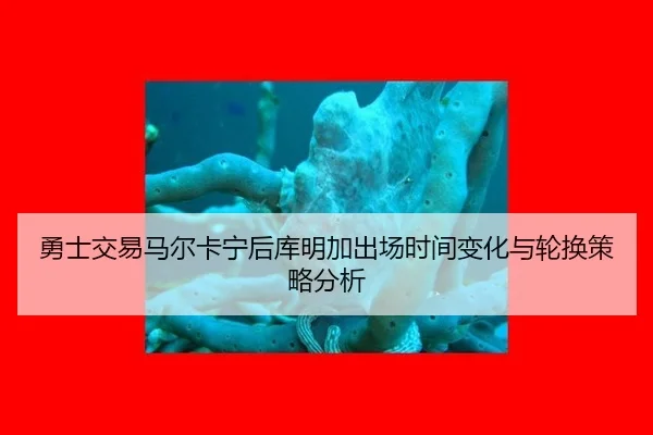 勇士交易马尔卡宁后库明加出场时间变化与轮换策略分析